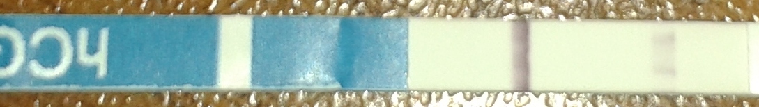 20130328_110142.jpg