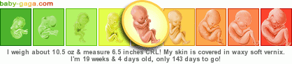 dev261pr___.png