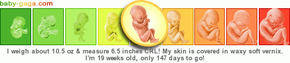 dev287pr___.png