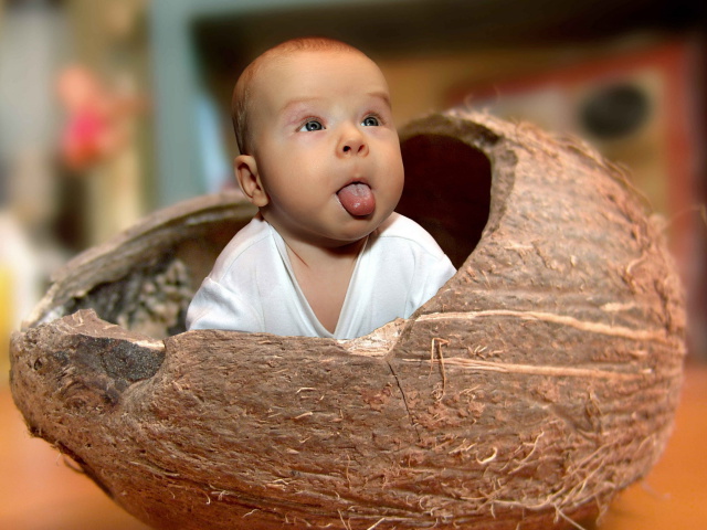 People_Children_kid_in_the_coconut_033433_29.jpg