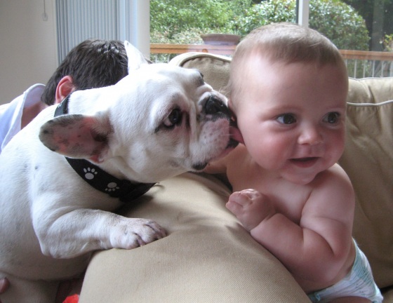 dog_baby.jpg