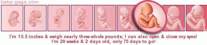 dev354pp___.png