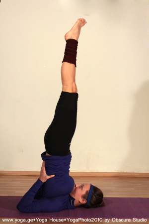 sarvangasana.jpg
