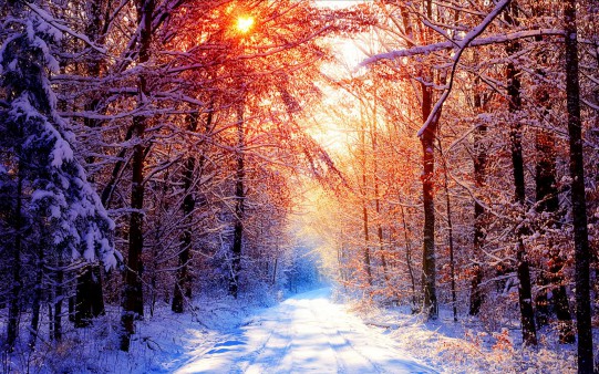 winter_sunny_winter_scene_wallpaper.jpg