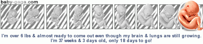 37.3.png