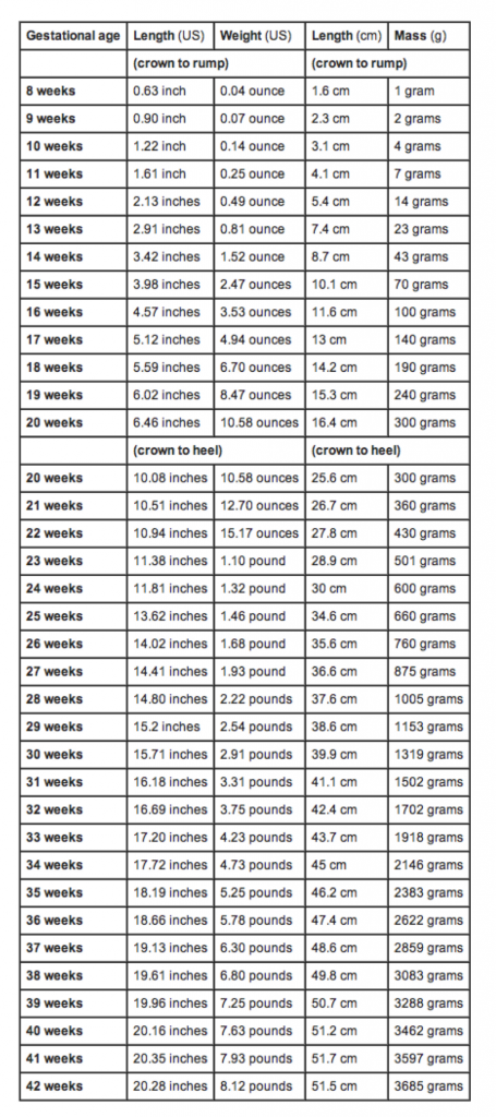 Average_fetal_length_and_weight_chart_BabyCenter_455x1024.png