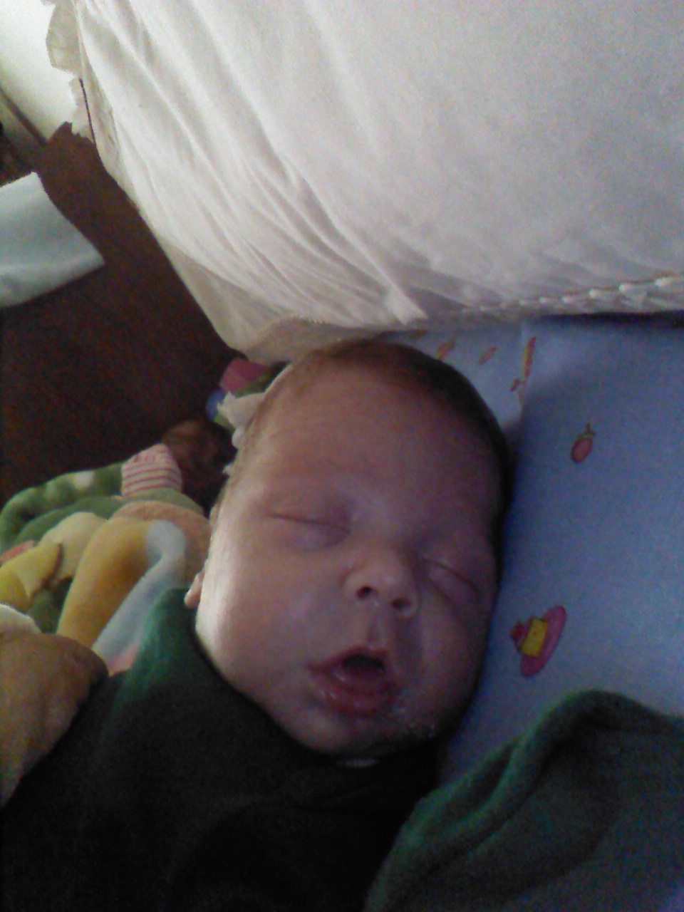 FB_IMG_14000605099432717.jpg