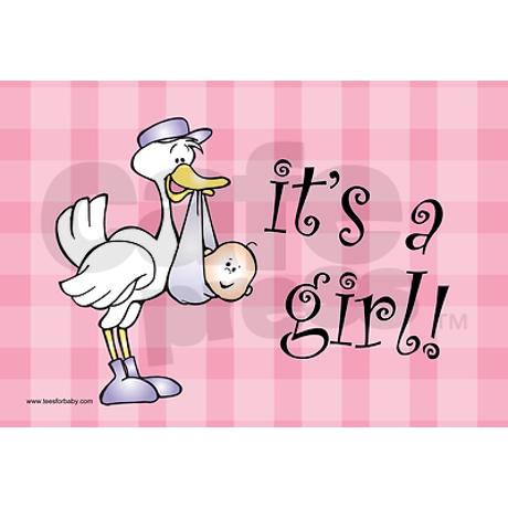 pink_gingham_its_a_girl_baby_announcement_sign.jpg