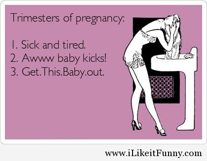 Trimesters_of_pregnancy.jpg