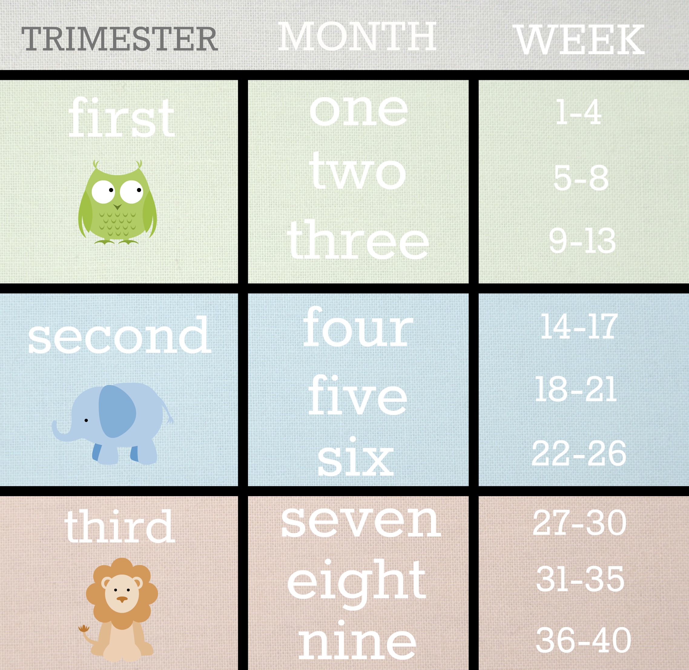BabyList_Trimester_Month_Week_Conversion_Chart.jpg