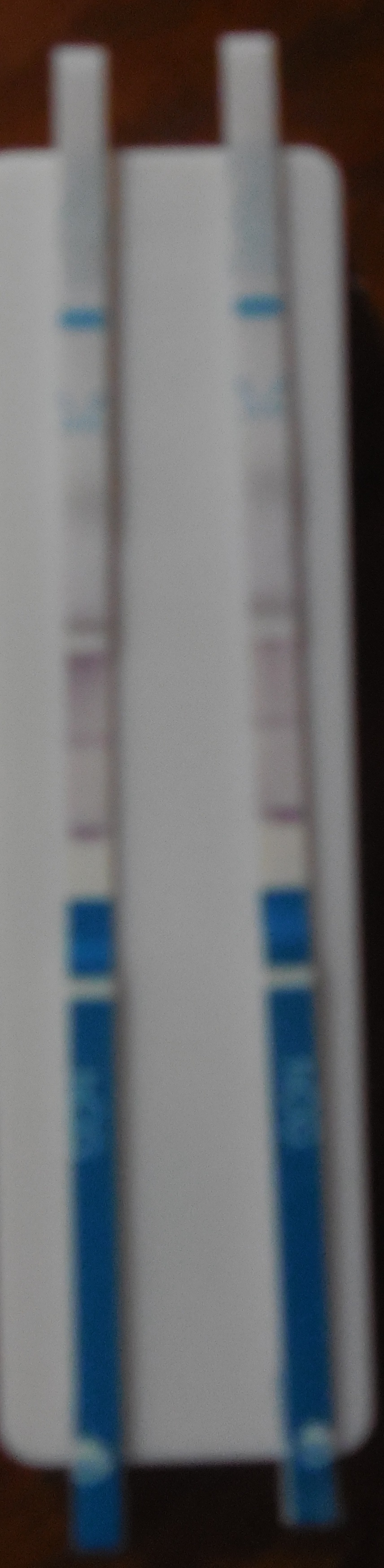 DSCN7076.JPG