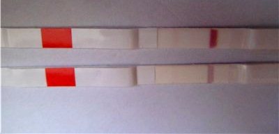 9cba5072c047.jpg