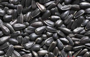 High_Oil_Content_Black_Sunflower_Seeds_for_Oil_033.jpg