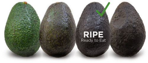 Love_One_Today_Avocado_Nutrition_how_to_ripen_avocados_1.jpg
