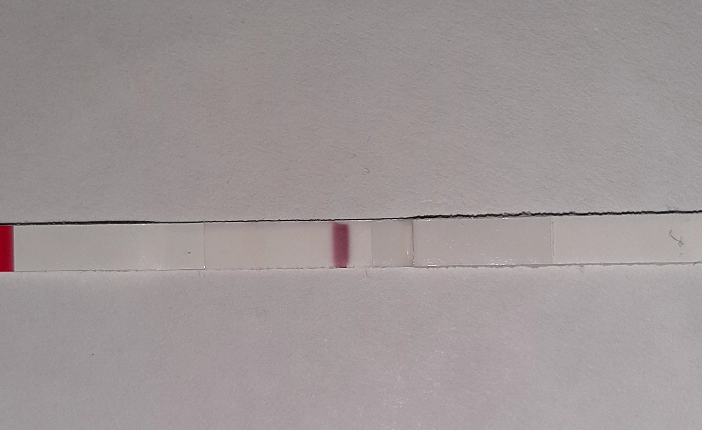20220506_185043.jpg