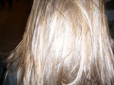 P1020029.jpg