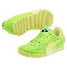 puma.jpg