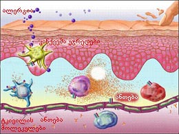 ceb65d4eb7c7.jpg