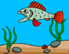 752567961f0a8dfaffc442e59dbf49d8.gif