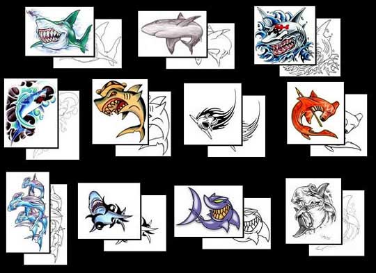 shark.jpg