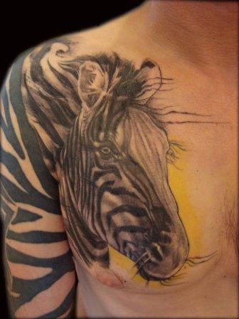 Zebra.jpg