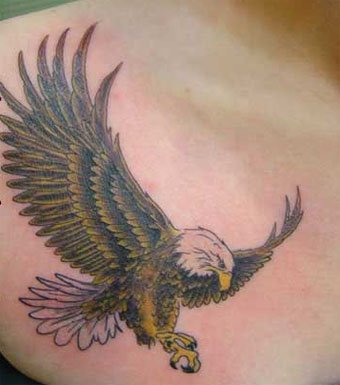 eagles_1_.jpg