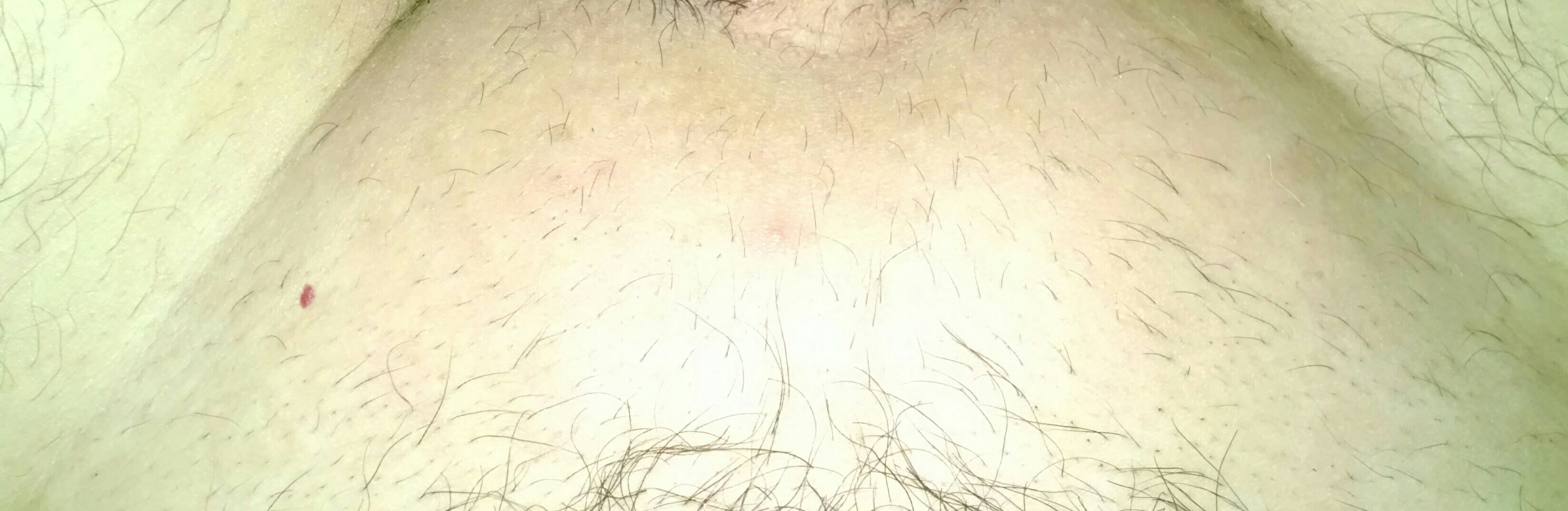 _20160420_032650.JPG