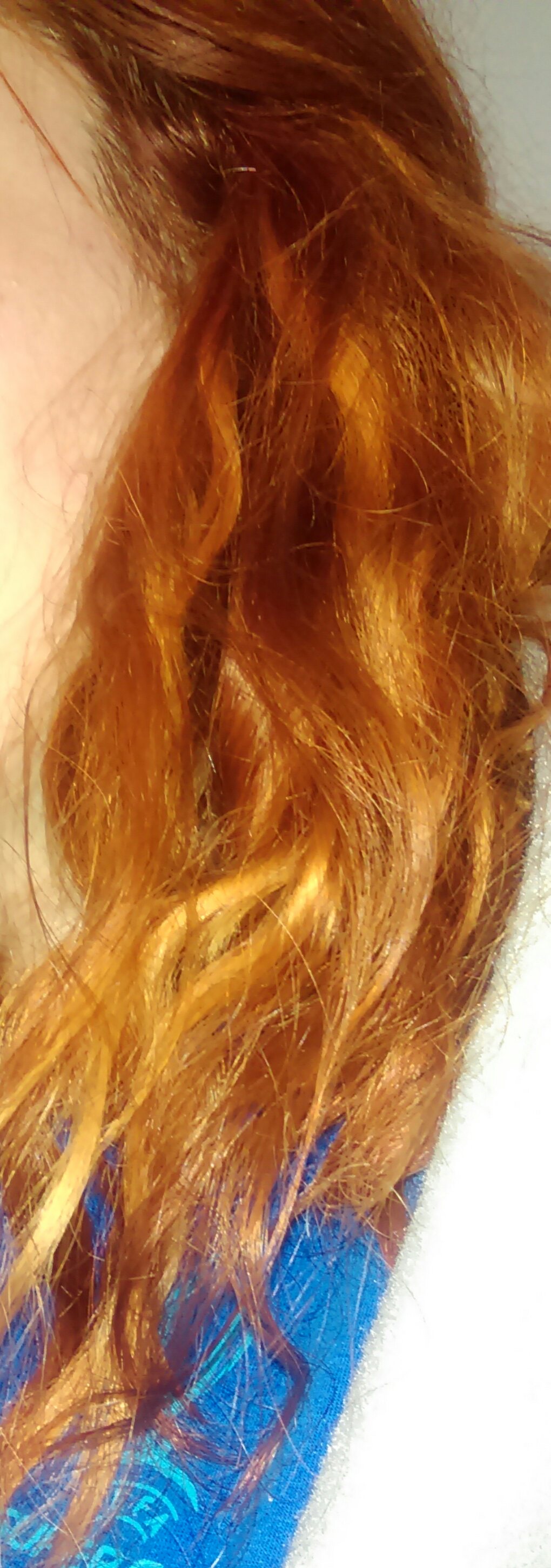 IMAG0115_1.jpg